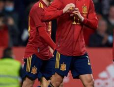 PG电子试玩官网-克罗地亚轻取塞内加尔，费兰·托雷斯统治全场的简单介绍